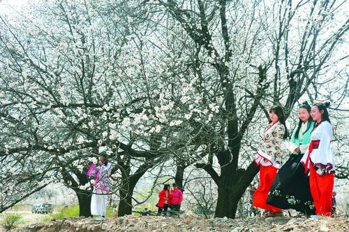 190kk足球即时比指数全景图